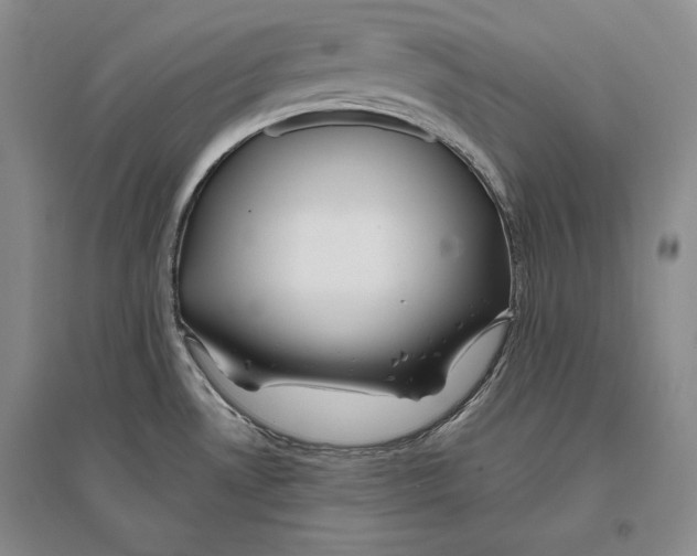 X0000096181530200802151430