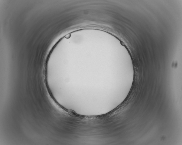 X0000096181531200802151430