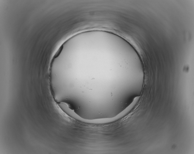 X0000096181532200802151430