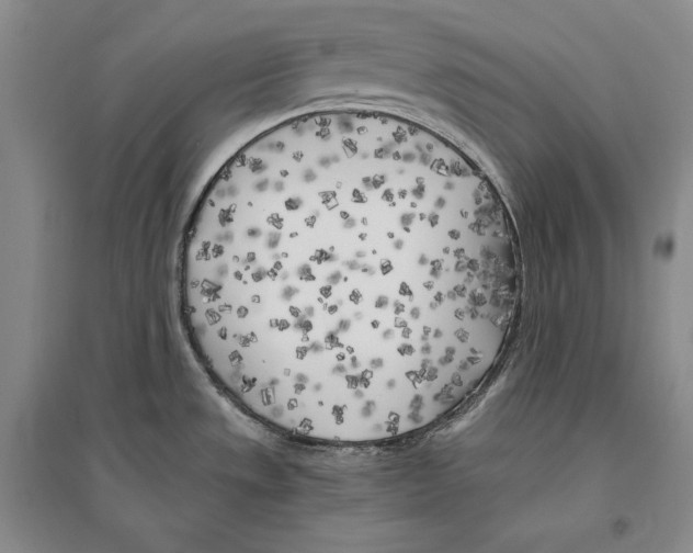 X0000096181533200802151430