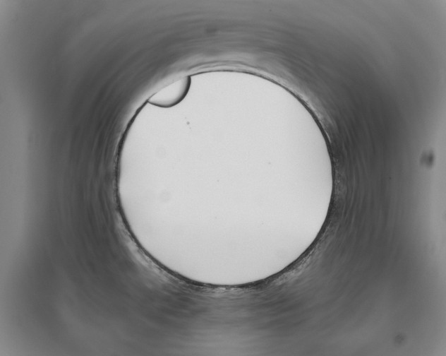 X0000096181534200802151430