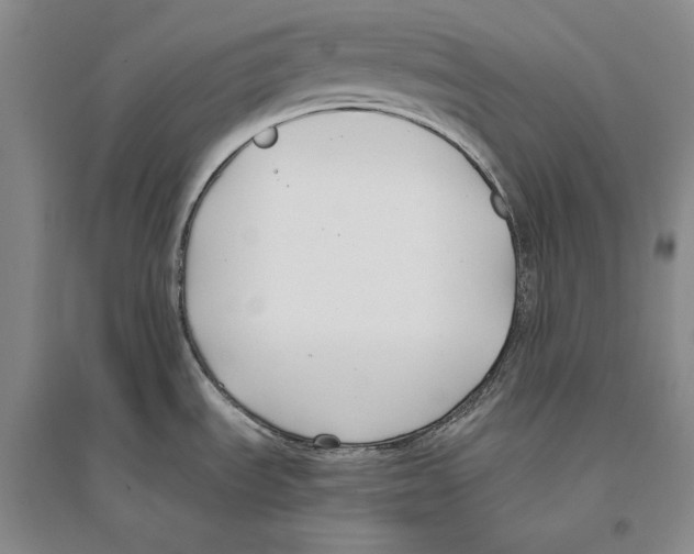 X0000096181535200802151430