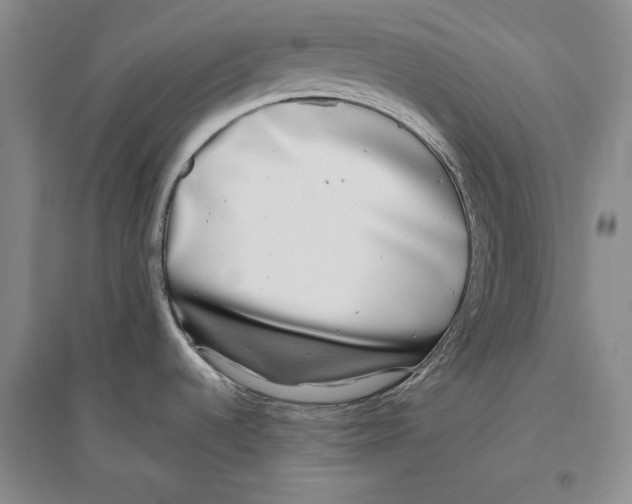 X0000096181536200802151430