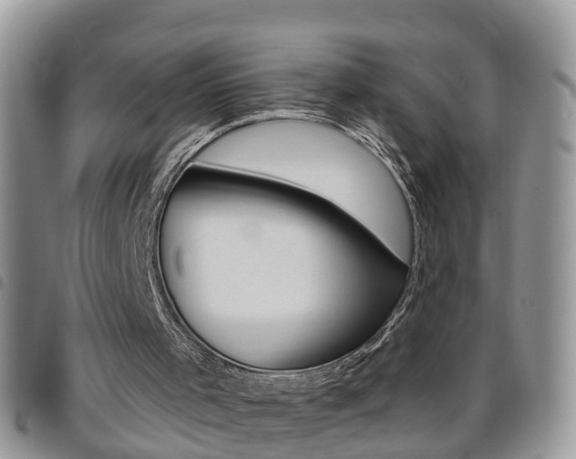 X0000096190001200801181019