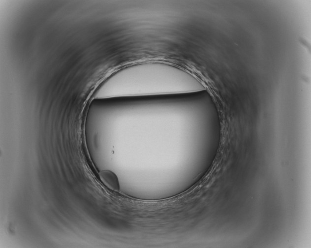 X0000096190002200801181019