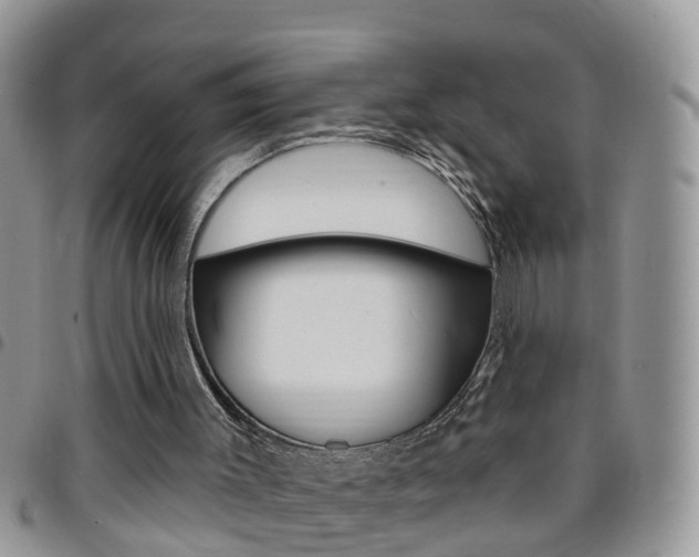 X0000096190003200801181019