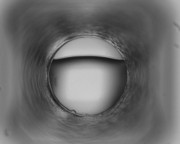 X0000096190005200801181019