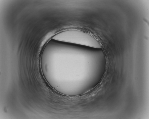 X0000096190006200801181019