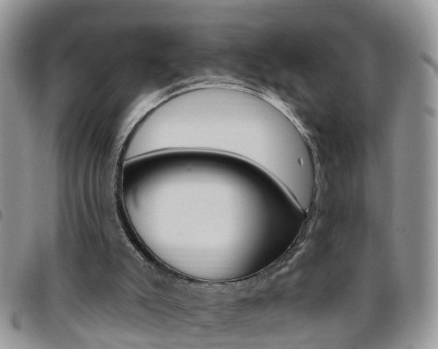 X0000096190007200801181019
