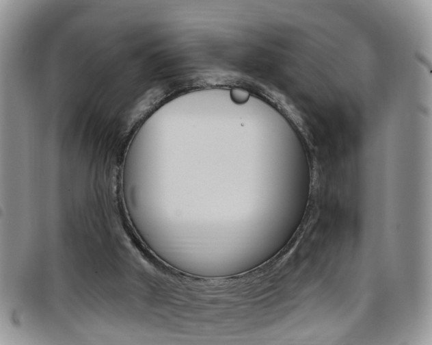 X0000096190010200801181019