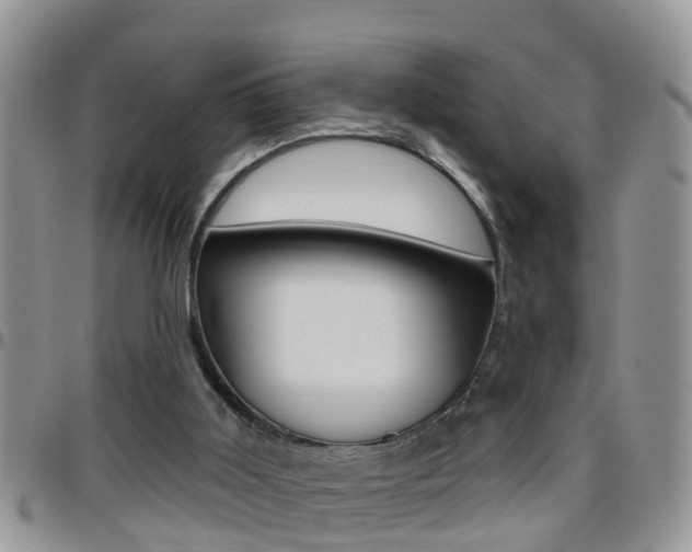 X0000096190011200801181019