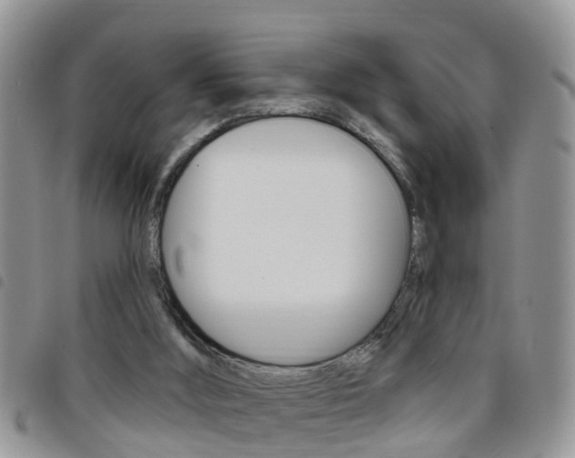 X0000096190012200801181019