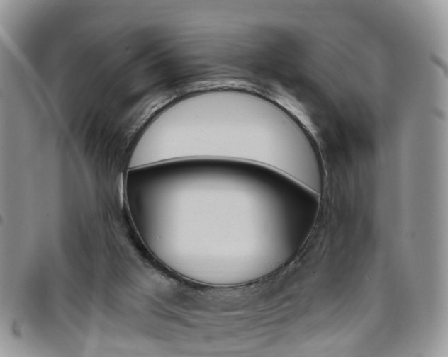 X0000096190013200801181019