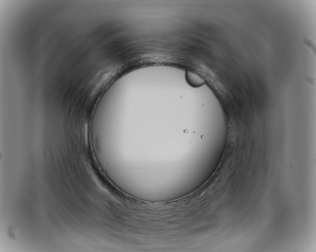 X0000096190014200801181019