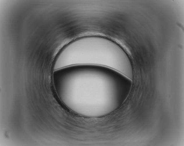 X0000096190015200801181019