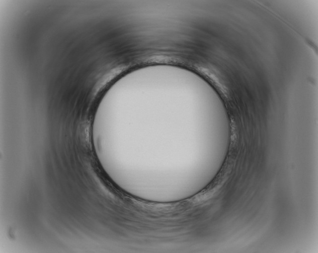 X0000096190016200801181019