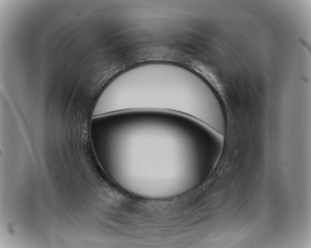 X0000096190017200801181019