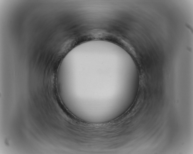X0000096190018200801181019