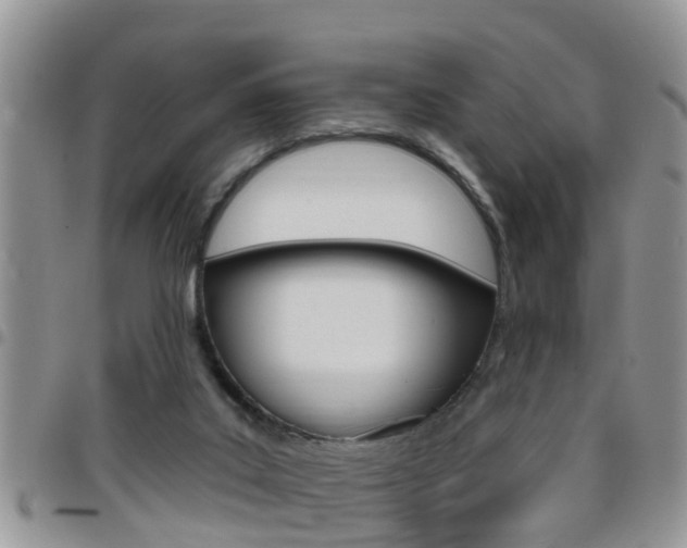X0000096190019200801181019