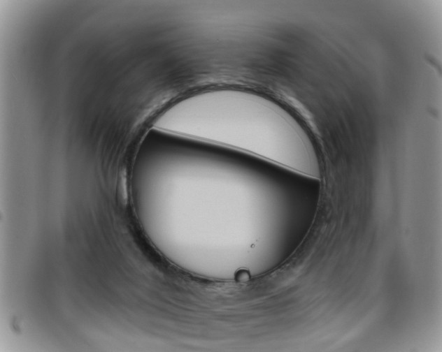 X0000096190020200801181019