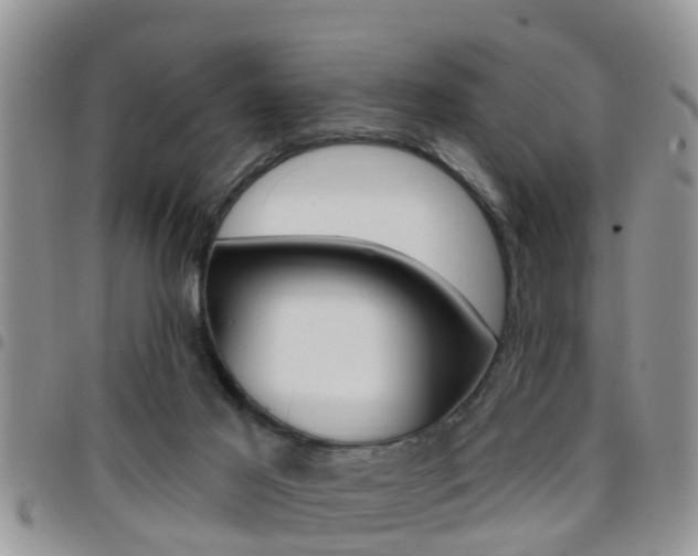 X0000096190021200801181019