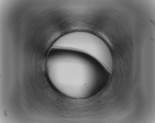 X0000096190023200801181019