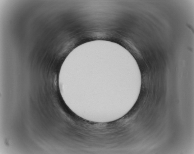 X0000096190024200801181019