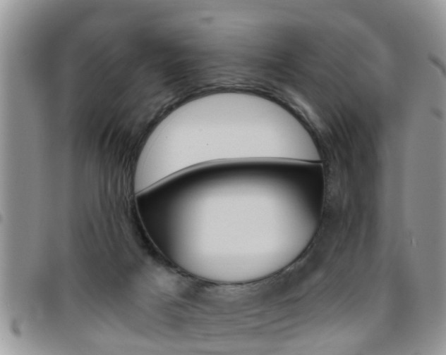 X0000096190025200801181019