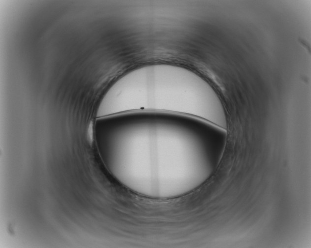 X0000096190027200801181019