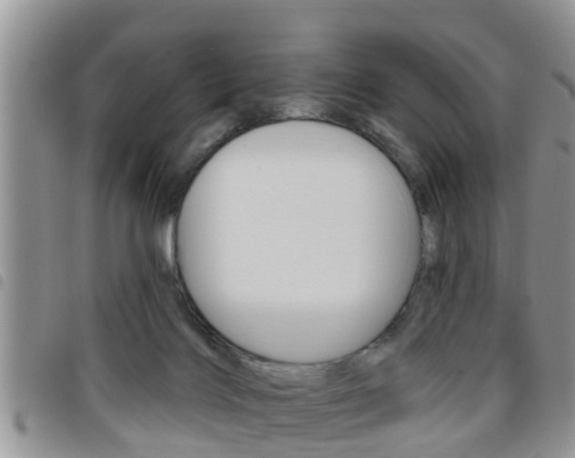 X0000096190028200801181019