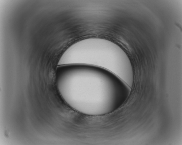 X0000096190029200801181019