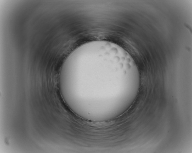 X0000096190030200801181019