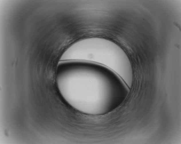 X0000096190031200801181019