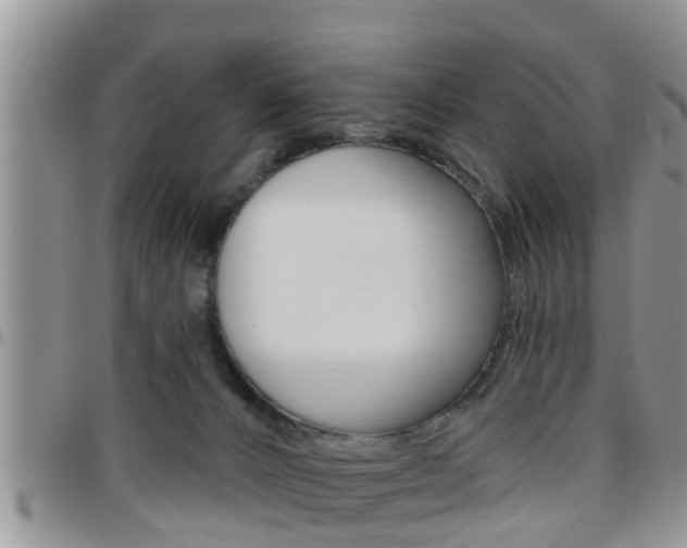 X0000096190032200801181019