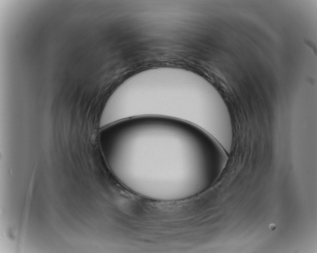 X0000096190033200801181019