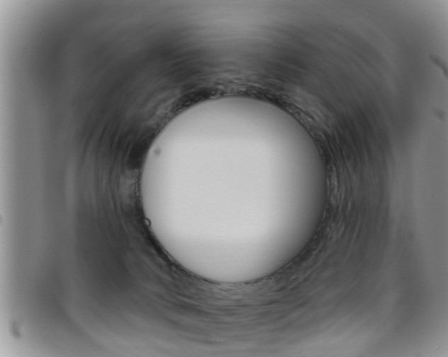 X0000096190034200801181019