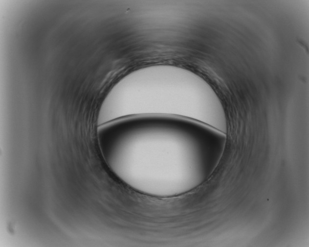 X0000096190035200801181019