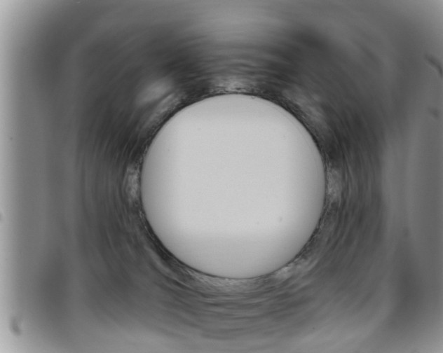 X0000096190036200801181019