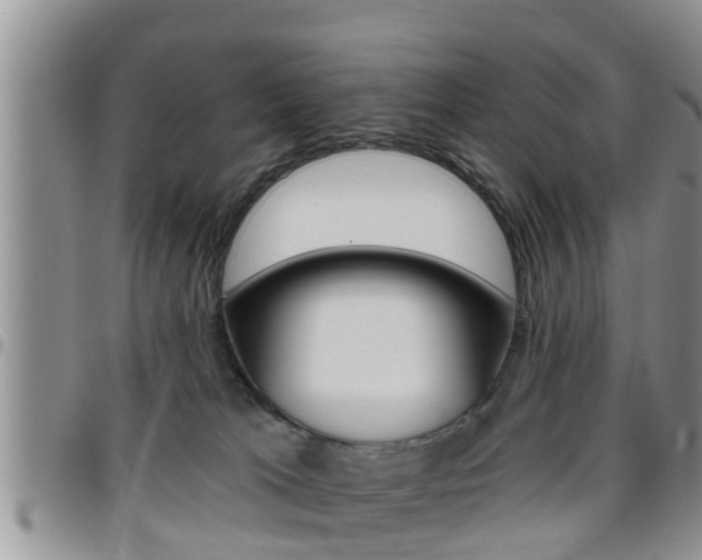 X0000096190037200801181019