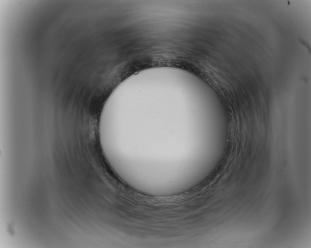 X0000096190038200801181019