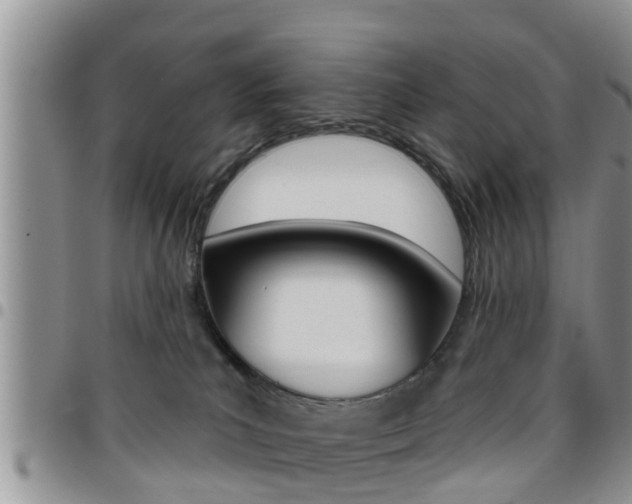 X0000096190039200801181019