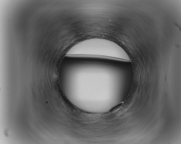 X0000096190040200801181019