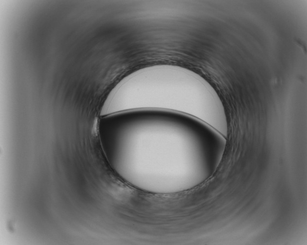 X0000096190041200801181018