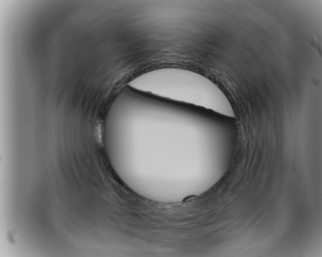 X0000096190042200801181018