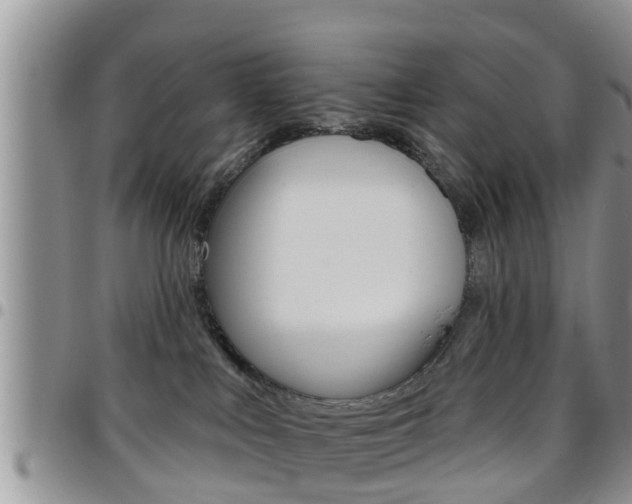 X0000096190043200801181018