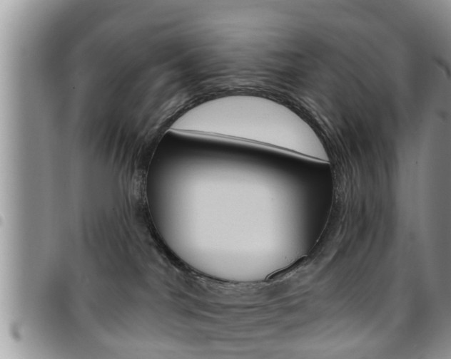 X0000096190044200801181018