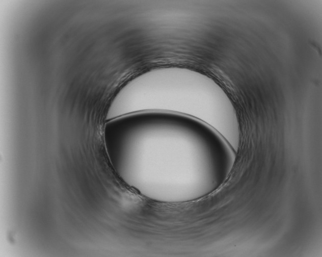 X0000096190045200801181018