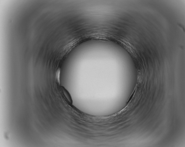 X0000096190047200801181018