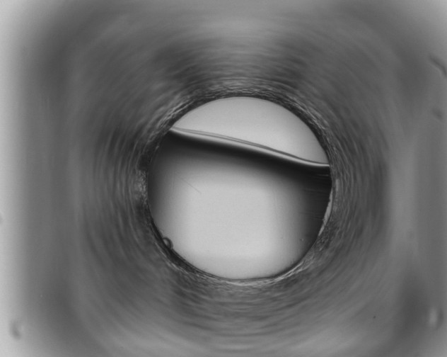 X0000096190048200801181018
