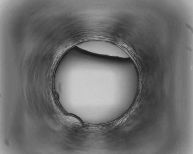X0000096190049200801181018